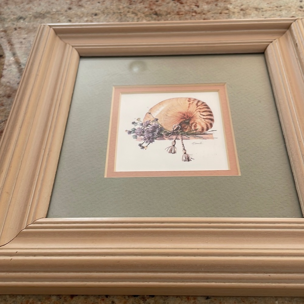 2 Seashell pictures